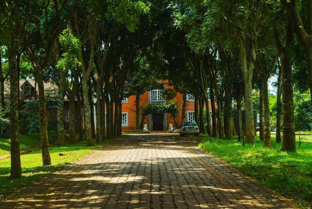 Garage door services in Anthony